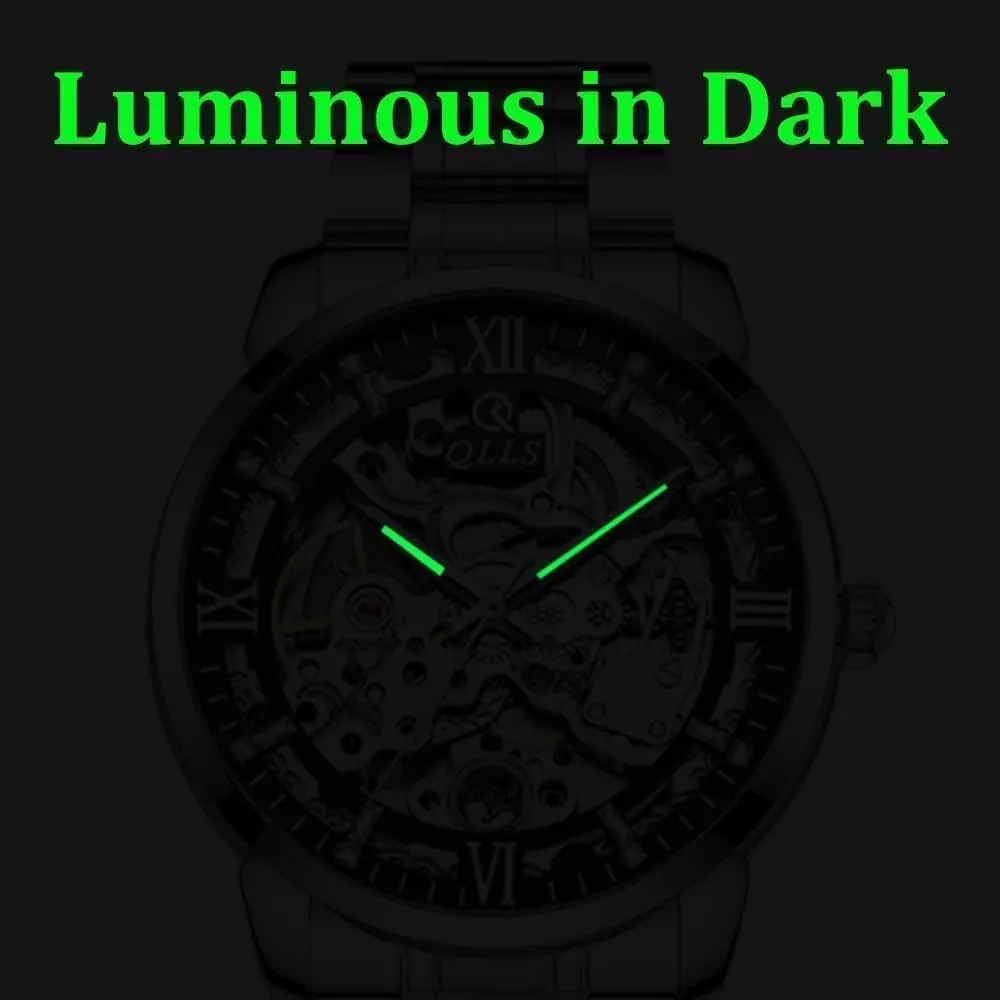 Analog Wristwatch Waterproof Luminous Mens Mechanical Watches Automatic Skeleton Tourbillon Steel subsist dispersal divine sapphire routine Belt Man 