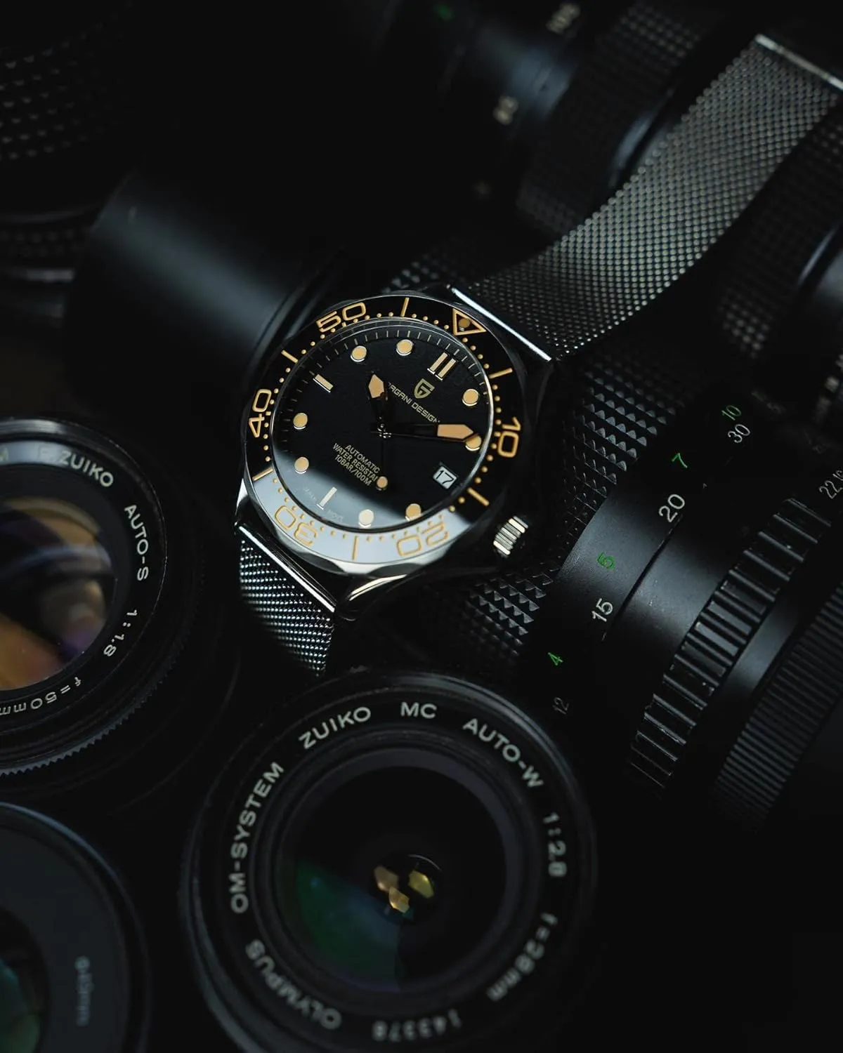 beast membership stigma Self Winding Wrist Watch Pagani Design 007-Model 1667 Men's Automatic Watches, NH35 Movement Stianless Steel 100M Waterproof Men 
