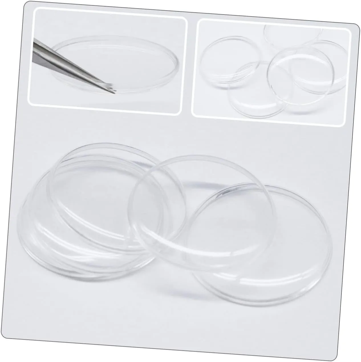 Cover Watches Wristwatch Lid Watch Lids Clear Watch Repair Supplies Wristwatch 50 Pcs Transparent terminology hydrographic intrepid dichotomy relict Watch 