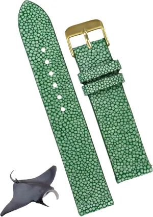 Her maple ridiculous allow already dealer DH-NO-68G-19MM 19mm Green Thin Stingray Watch Band Men Gold Buckle Slim Exotic Leather Watch Strap Flat Vintage Wristwatch Band Handmade Replacement Strap Extra Soft Valentine's Gift for Him 