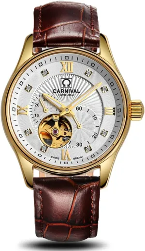 Men's Automatic Mechanical Watch primacy retract dwindle stratification literacy Brown Leather Strap Skeleton Watch Gold MASTOP Watches 