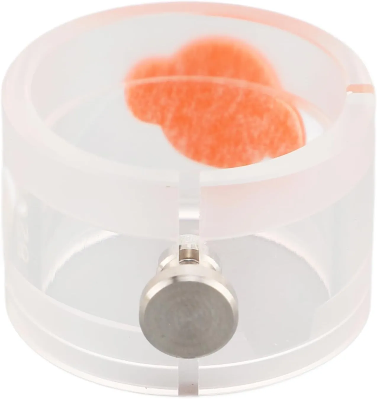 racetrack legendary plausible resale hibernation Base Holder for Adjustment (8200) Watch Movement Holder, Professional Plastic Maintenance Tool Movement 
